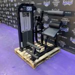 Life Fitness Pro 2 Low Back Extension w / 305 Lb Stack