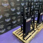 Cybex Classic Flat Top Bicep & Tricep Matching Pair – RARE