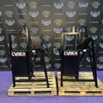 Cybex Classic Flat Top Bicep & Tricep Matching Pair – RARE