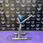 Life Fitness Signature Series Bosu Leg Raise