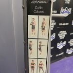 Life Fitness Signature Series Dual Adjustable Pulley Cable Column Functional Trainer