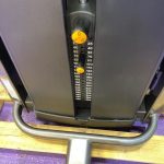 Life Fitness Insignia Series Pec Fly & Rear Delt Combo – Newest Model Life Fitness Insignia Series Pec Fly & Rear Delt Combo – Newest Model