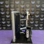 Life Fitness Insignia Series Torso Rotation – Total Core Machine