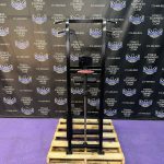 Life Fitness Pro Assisted & Free Weight Dip & Pull-up Combo