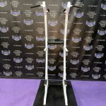 Nebula VKR Power Tower Multi Grip Dip Pull-up & Parallel Dip Bars – RARE Nebula VKR Power Tower Multi Grip Dip Pull-up & Parallel Dip Bars – RARE