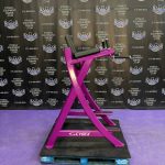 Cybex VKR Dip & Leg Raise – Newest Model