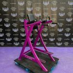 Cybex VKR Dip & Leg Raise – Newest Model