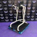 Cybex VKR Dip & Leg Raise