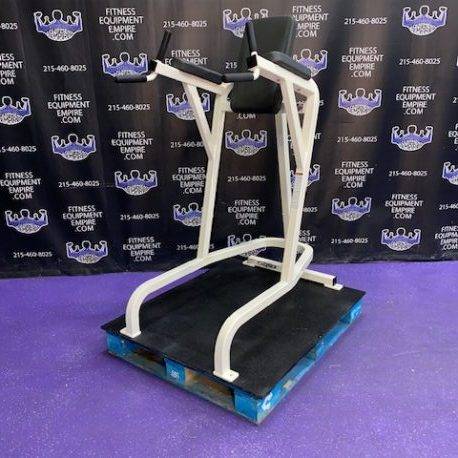 IMG_1768-458x458 Cybex VKR Dip & Leg Raise