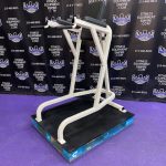 Cybex VKR Dip & Leg Raise Cybex VKR Dip & Leg Raise