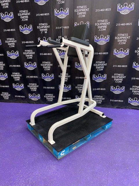 IMG_1769 Cybex VKR Dip & Leg Raise