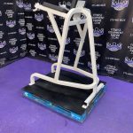 Cybex VKR Dip & Leg Raise Cybex VKR Dip & Leg Raise