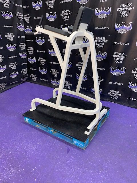 IMG_1770 Cybex VKR Dip & Leg Raise