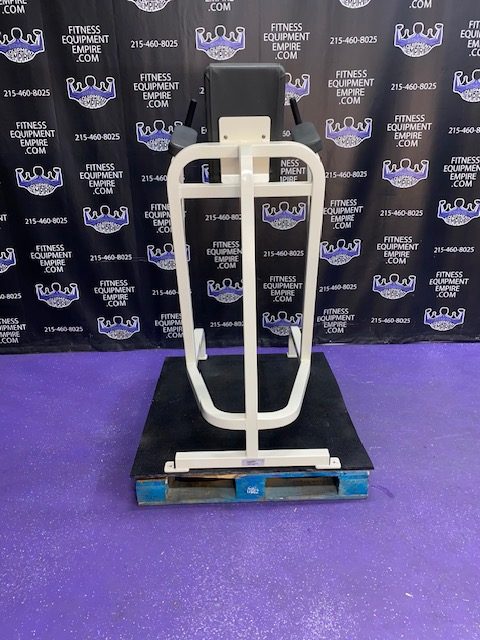 IMG_1771 Cybex VKR Dip & Leg Raise