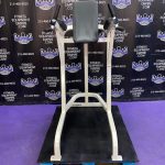 Cybex VKR Dip & Leg Raise Cybex VKR Dip & Leg Raise