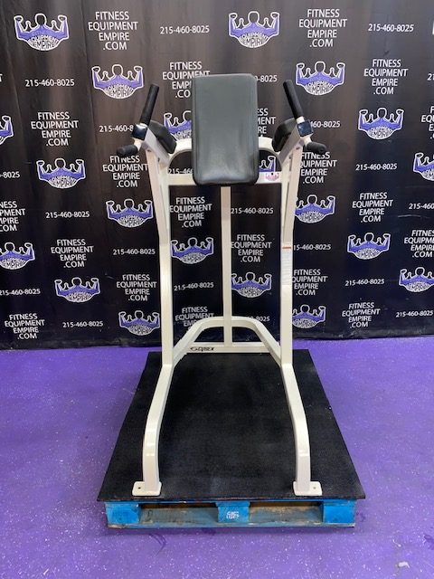 IMG_1772 Cybex VKR Dip & Leg Raise