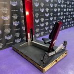 FreeMotion Free Motion Shoulder Raise & Lateral Raise FreeMotion Free Motion Shoulder Raise & Lateral Raise