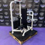 Life Fitness Pro Seated Dip w / Adjustable Handles