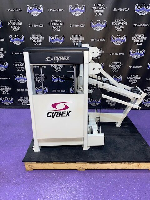 IMG_3107-rotated Cybex Galileo Biangular Seated Dip & Chest Press w / 350 Lb Stack – Refurbished