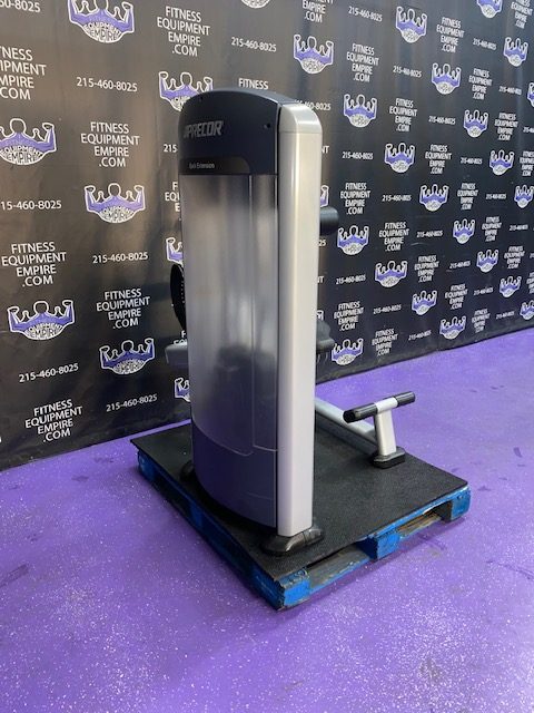 IMG_3227.jpg Precor Discovery Low Back Extension