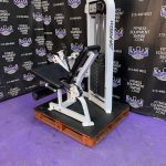 Life Fitness Pro 2 SE Leg Extension w/300 lb. Stack