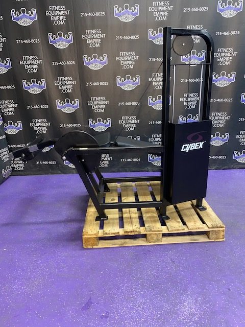 IMG_4693 Cybex VR Prone Lying Leg Curl