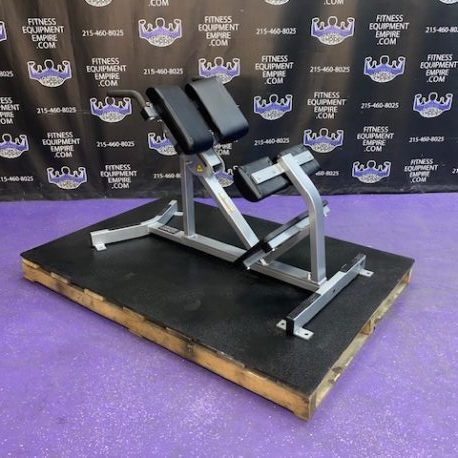 IMG_4694-458x458 Hammer Strength 45 Degree Hyper Extension