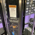 Life Fitness Insignia Series MJ4 w / Assisted Dip Pull-up – MINT