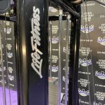 Life Fitness Insignia Series MJ4 w / Assisted Dip Pull-up – MINT