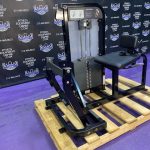 Life Fitness Pro 2 SE Horizontal Calf w/400 lb. Stack