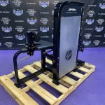 Life Fitness Pro 2 SE Horizontal Calf w/400 lb. Stack