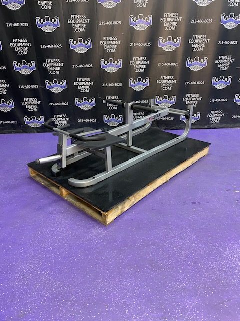 IMG_6094 Cybex Plate Loaded Standing T Bar Row