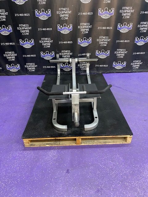 IMG_6096 Cybex Plate Loaded Standing T Bar Row