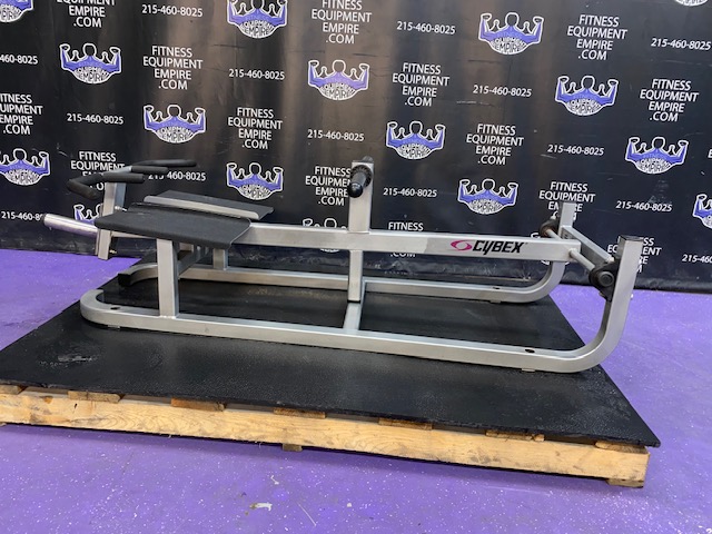 IMG_6097 Cybex Plate Loaded Standing T Bar Row