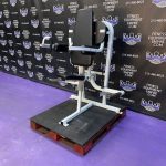 Nautilus Power Plus Plate Loaded Lateral Raise – Extremely Rare