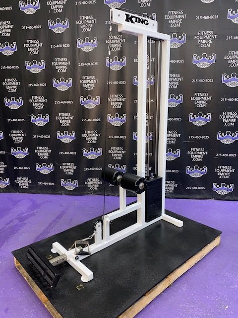 IMG_6457 King Lat Pulldown & Low Row Combo RARE
