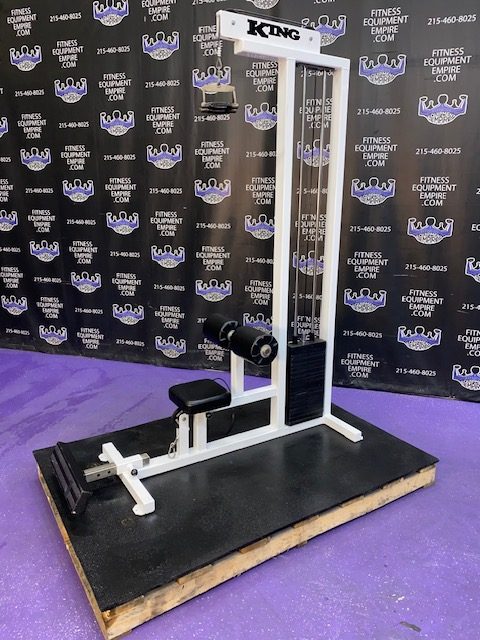 IMG_6458 King Lat Pulldown & Low Row Combo RARE