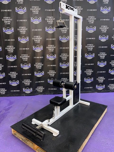 IMG_6459 King Lat Pulldown & Low Row Combo RARE