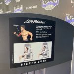 Life Fitness Signature Series Platinum Bilateral Bicep Curl
