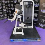 Life Fitness Pro 2 SE Bicep Curl