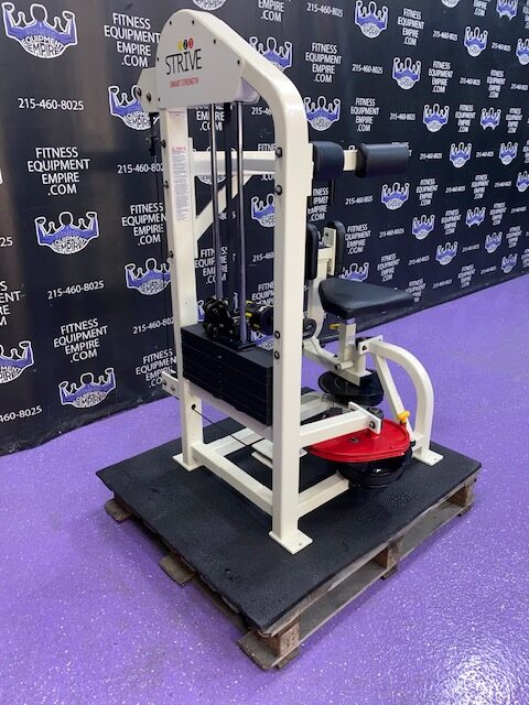 IMG_8130-rotated-1.jpg Strive Rotary Torso – RARE