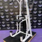 Precor Icarian 320 Assisted Dip & Pull-up Machine
