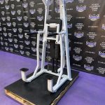 Precor Icarian 320 Assisted Dip & Pull-up Machine