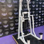 Precor Icarian 320 Assisted Dip & Pull-up Machine