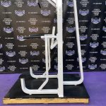 Precor Icarian 320 Assisted Dip & Pull-up Machine Precor Icarian 320 Assisted Dip & Pull-up Machine