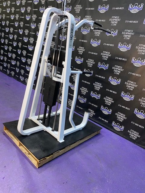 IMG_8463 Precor Icarian 320 Assisted Dip & Pull-up Machine