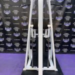 Precor Icarian 320 Assisted Dip & Pull-up Machine