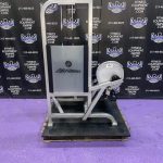 Life Fitness Pro Platinum Leg Extension