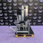 Cybex Back Extension & Abdominal Crunch Combo Machine – Total Core