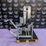 Cybex Back Extension & Abdominal Crunch Combo Machine – Total Core